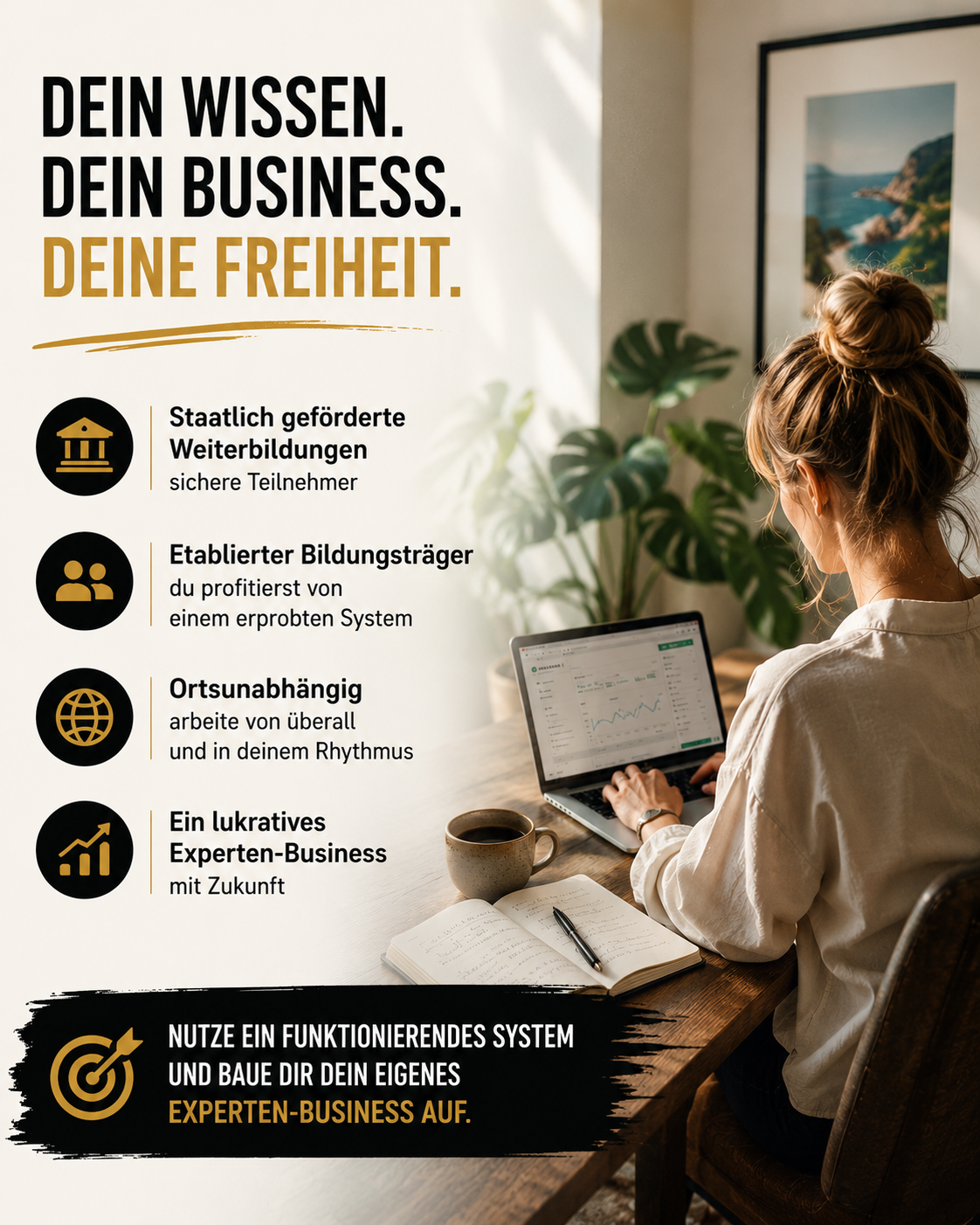 Hans Schneider Facebook ad