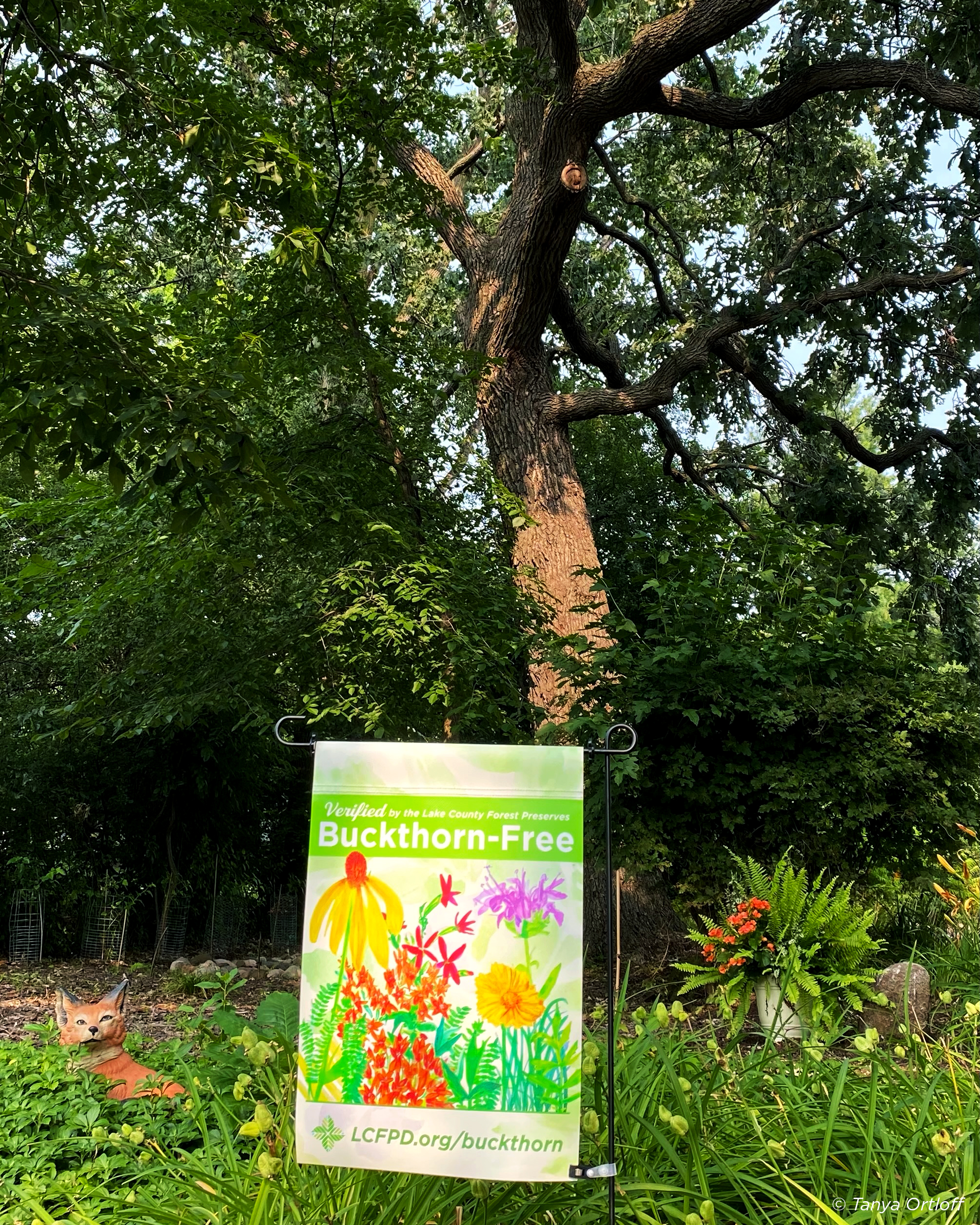 Lake County Forest Preserves Facebook ad: Free Garden Flag