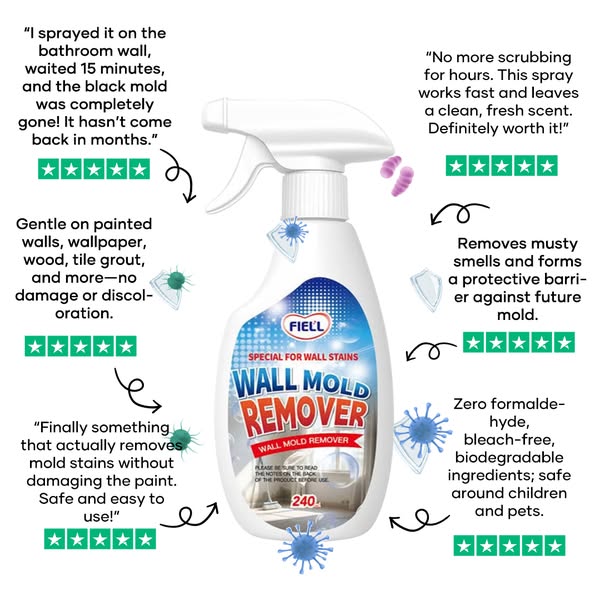 Wishpocket Facebook ad: Wall Mould Be Gone! The UK's Favourite Remover Spray