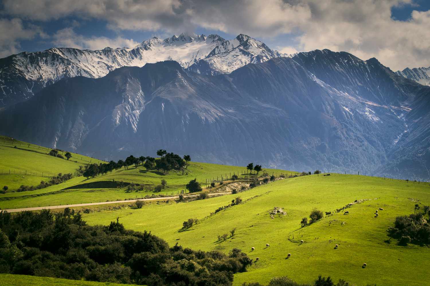New Zealand Immigration Assistants Facebook ad: New Zealand Migration Planning Support for 2026