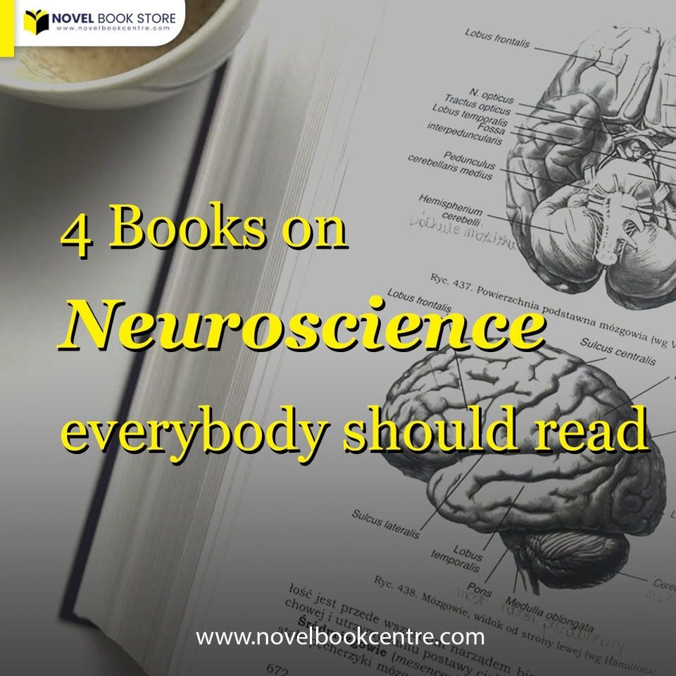 Novel Book Store Facebook ad: ဦးနှောက်အကြောင်း ဘယ်လောက်ထိ သိထားပြီးပြီလဲ