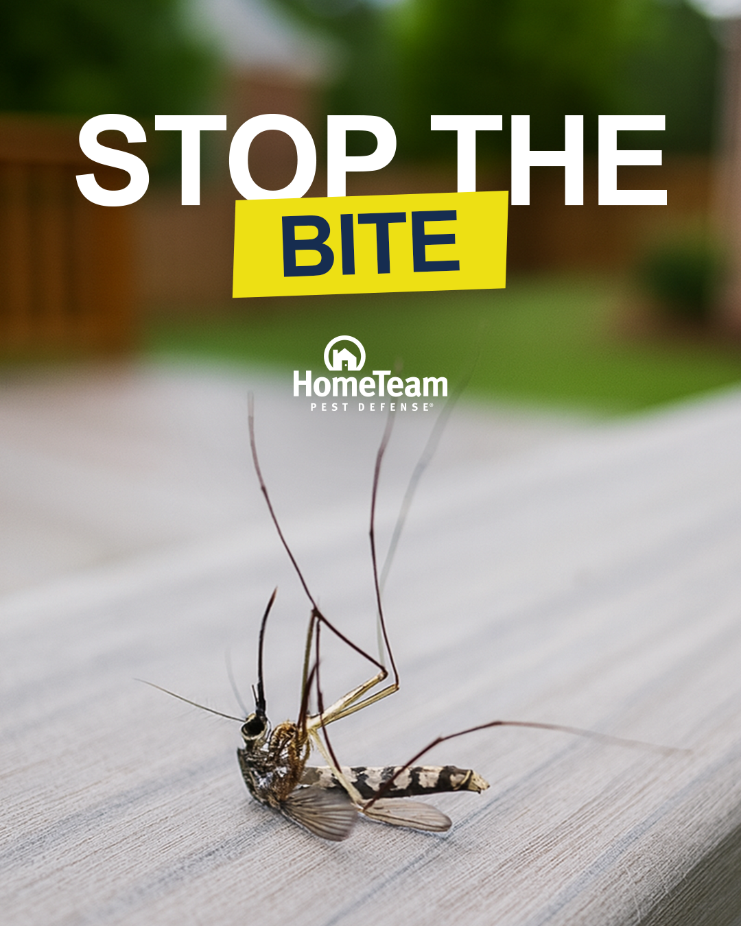 HomeTeam Pest Defense Facebook ad