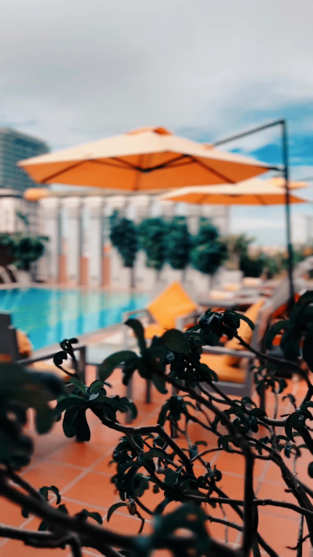 JAYA Suites Hotel, Phnom Penh - សណ្ឋាគារ ជ័យ៉ាស្វីត Facebook ad: 𝘌𝘴𝘤𝘢𝘱𝘦 𝘵𝘰 𝘗𝘢𝘳𝘢𝘥𝘪𝘴𝘦 𝘢𝘵 𝘑𝘢𝘺𝘢…
