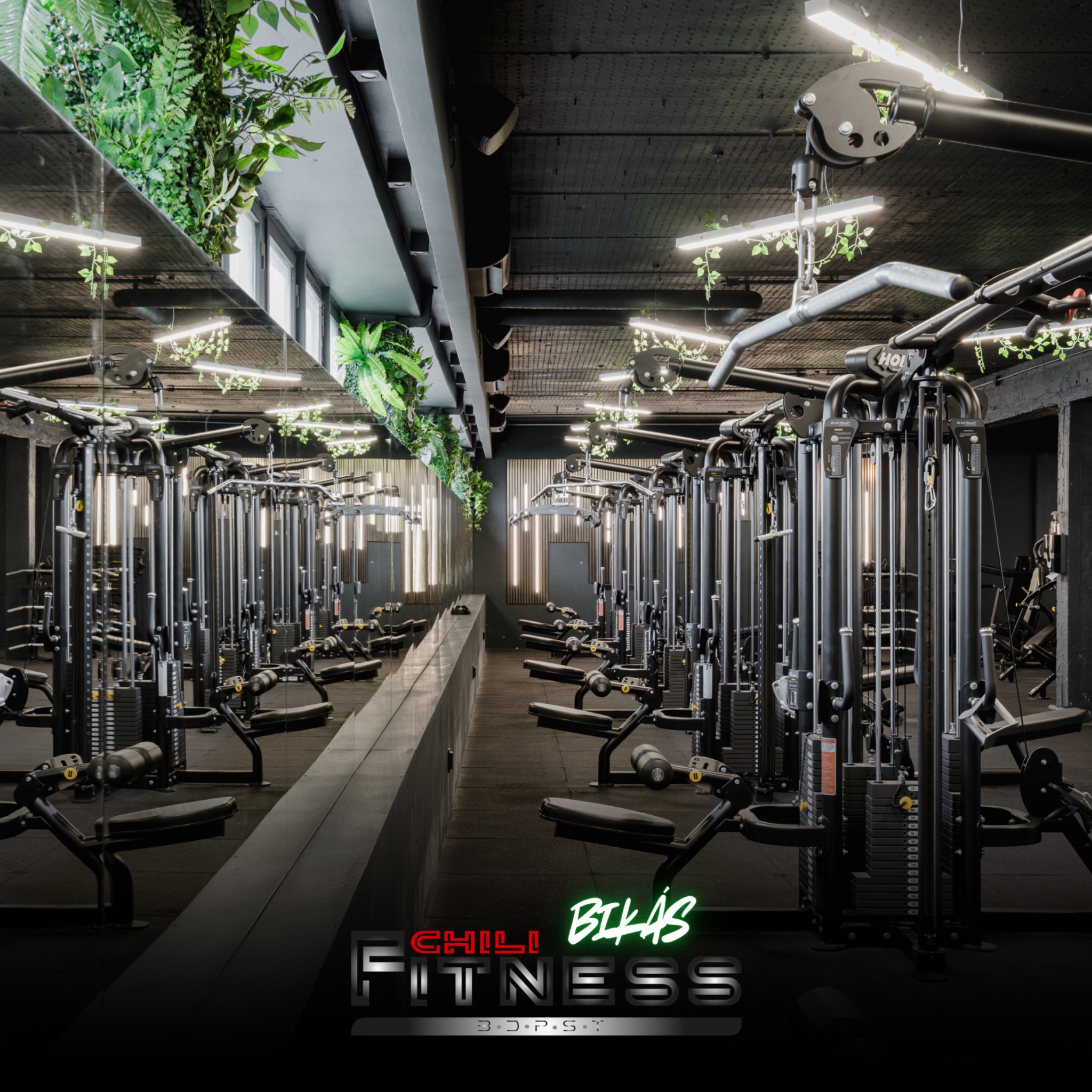 Chili Fitness - Bikás park Facebook ad: A Chili Fitness Bikás nemcsak egy edzőterem, ez…