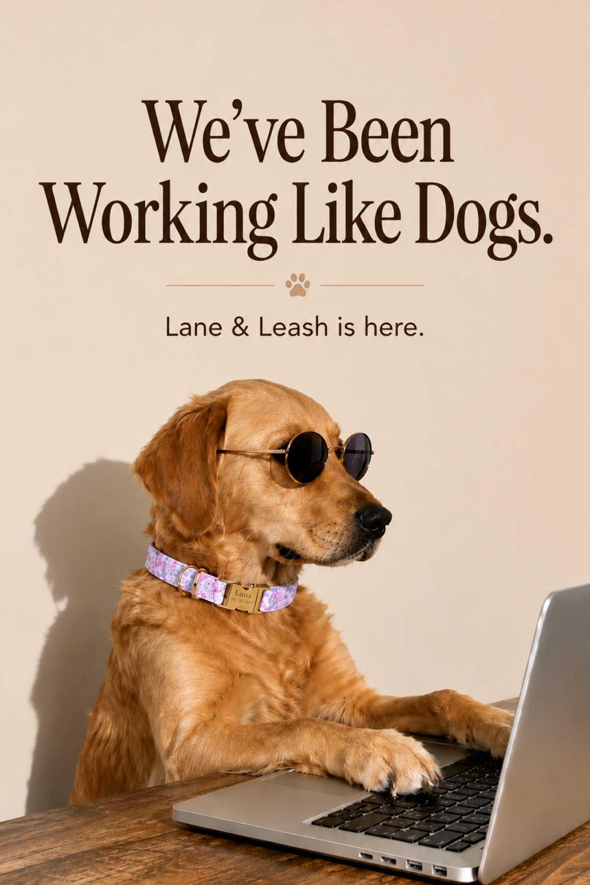 Lane&Leash Facebook ad
