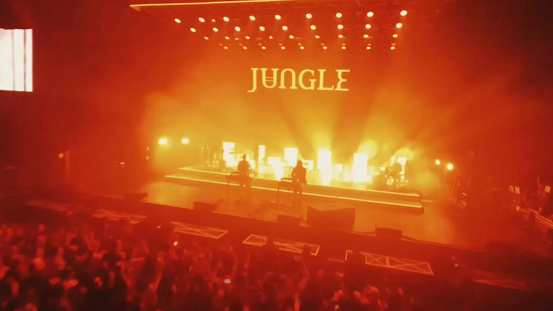 Jungle Facebook ad: Jungle Live