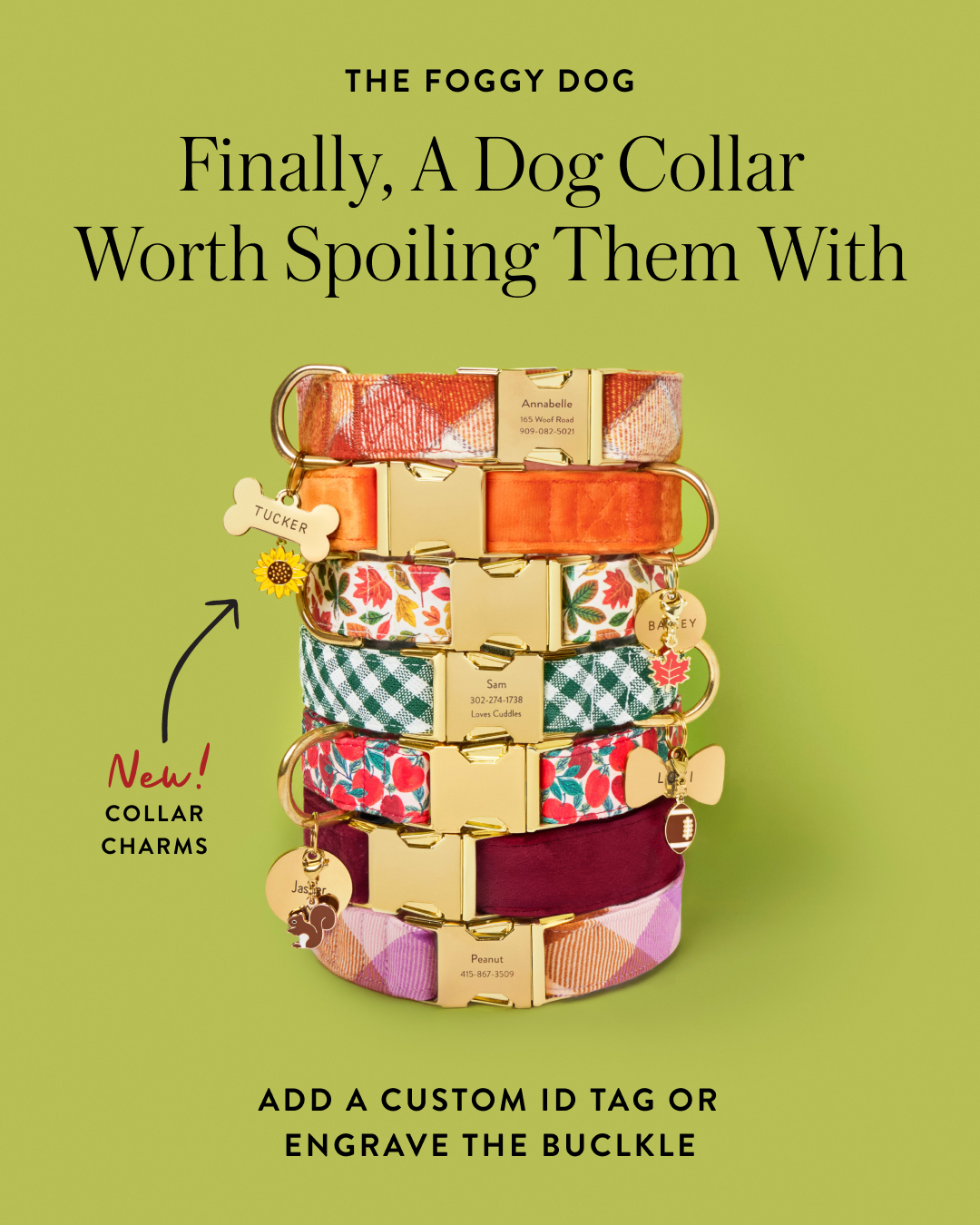 The Foggy Dog Facebook ad