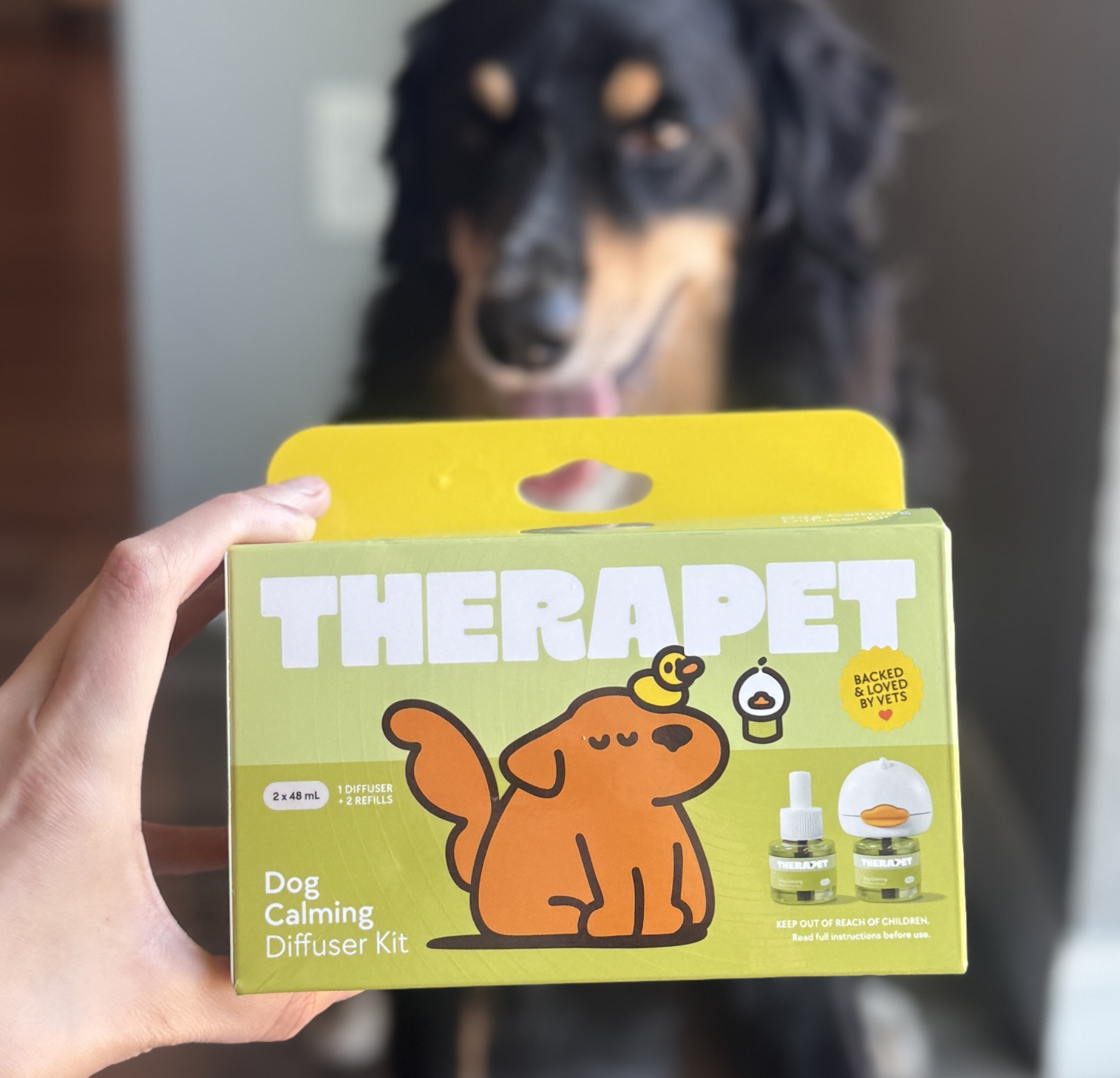 TheraPet Facebook ad