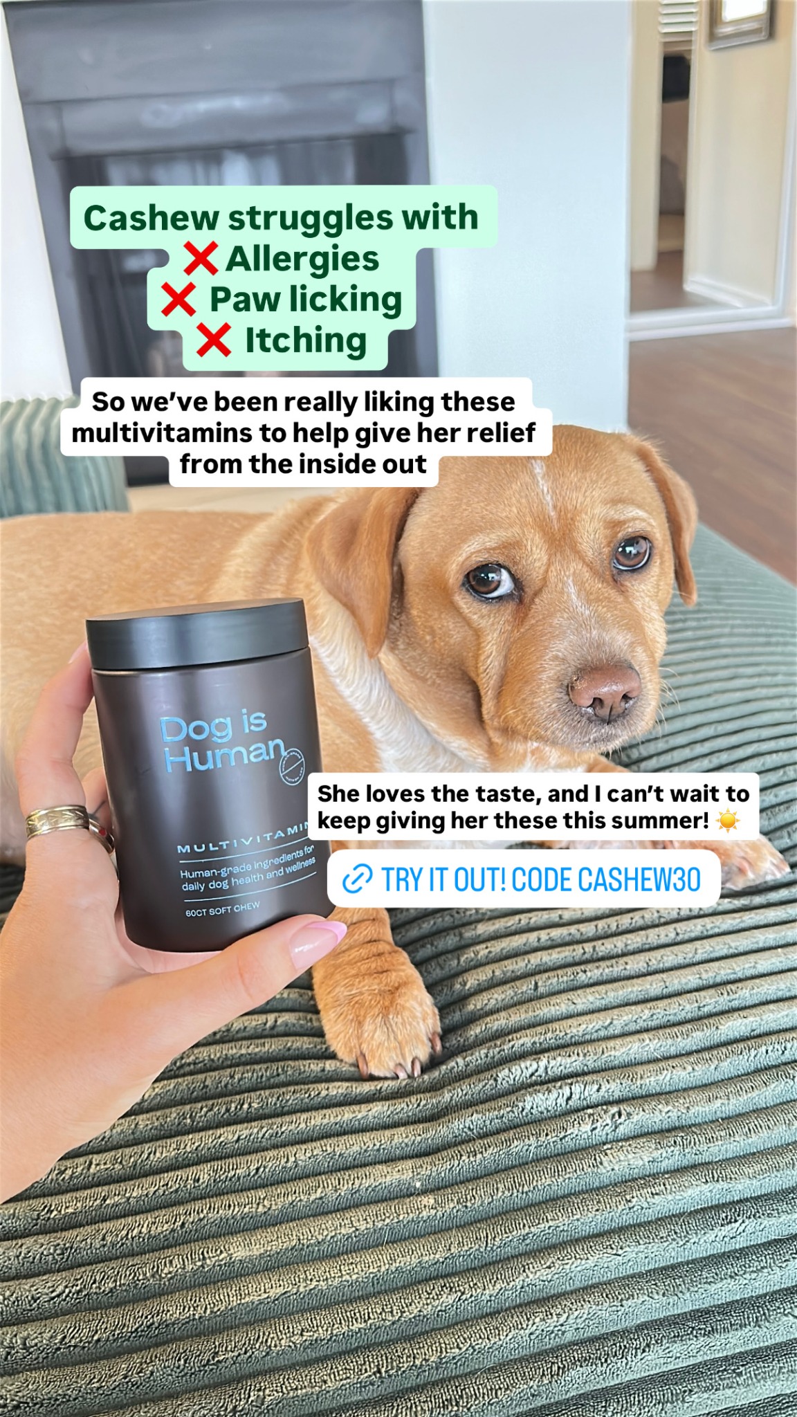 Dog is Human Facebook ad