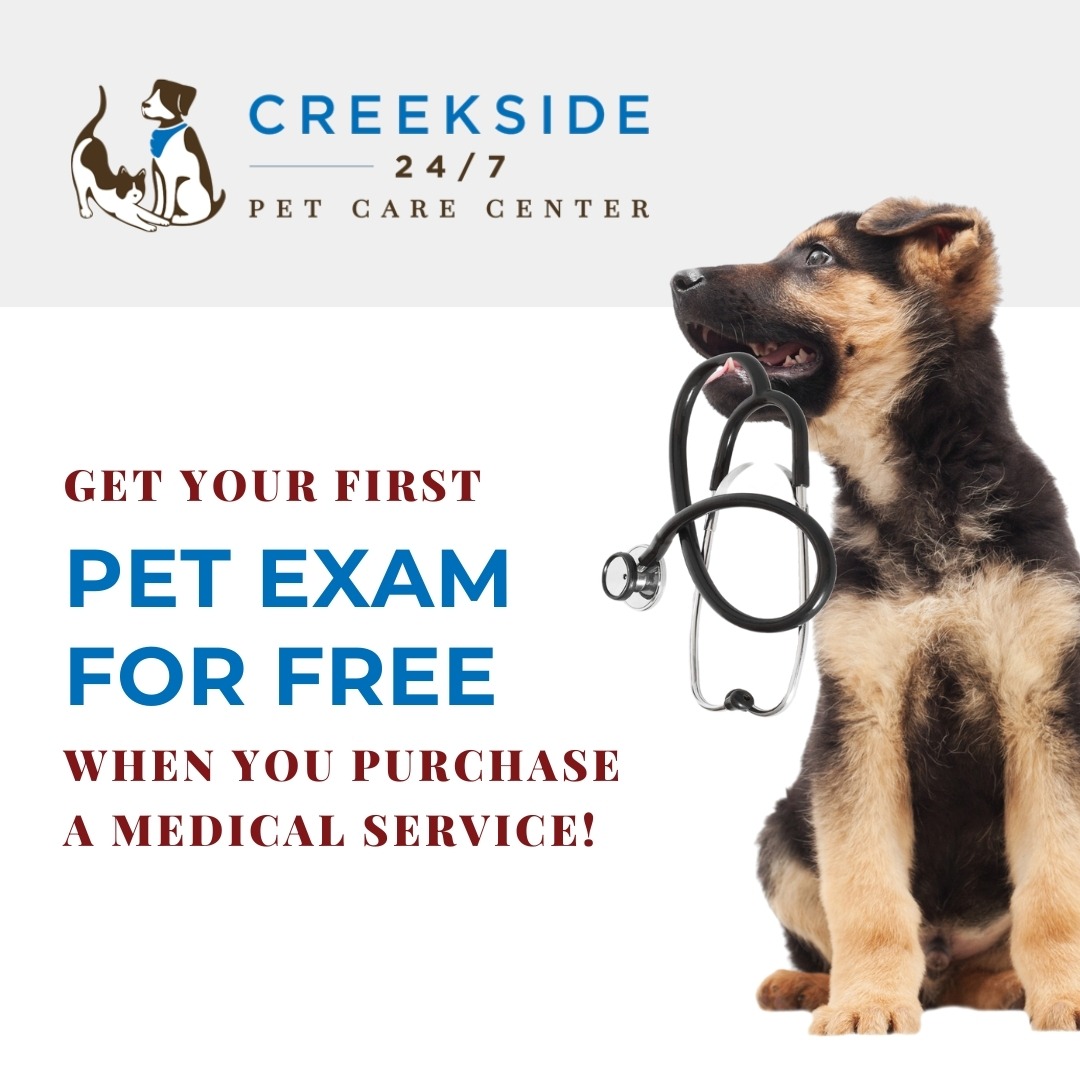 Creekside Pet Care Center Facebook ad