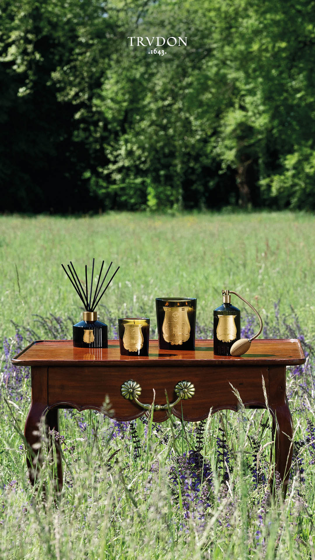 Trudon Facebook ad