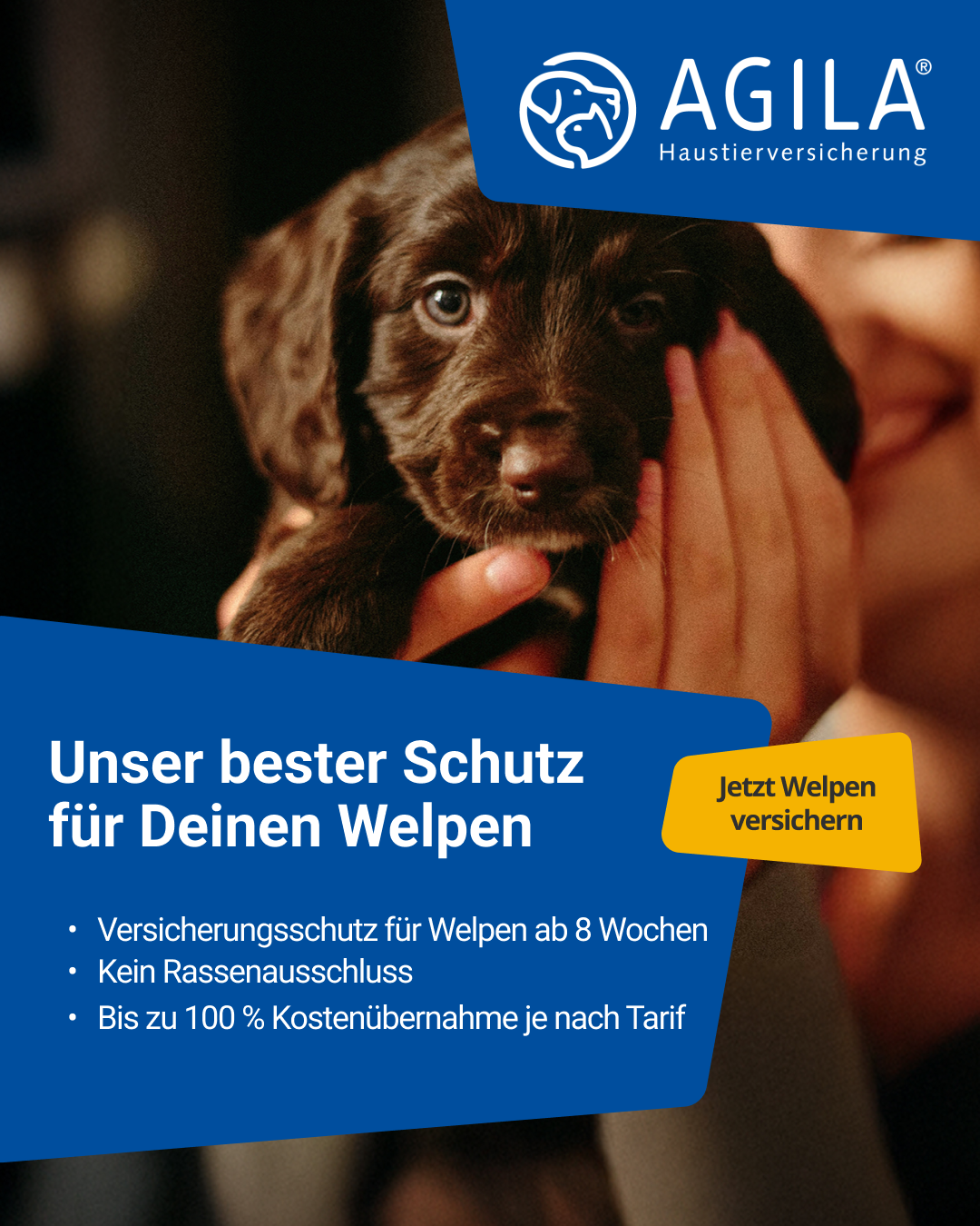 AGILA Haustierversicherung Facebook ad: Welpenversicherung