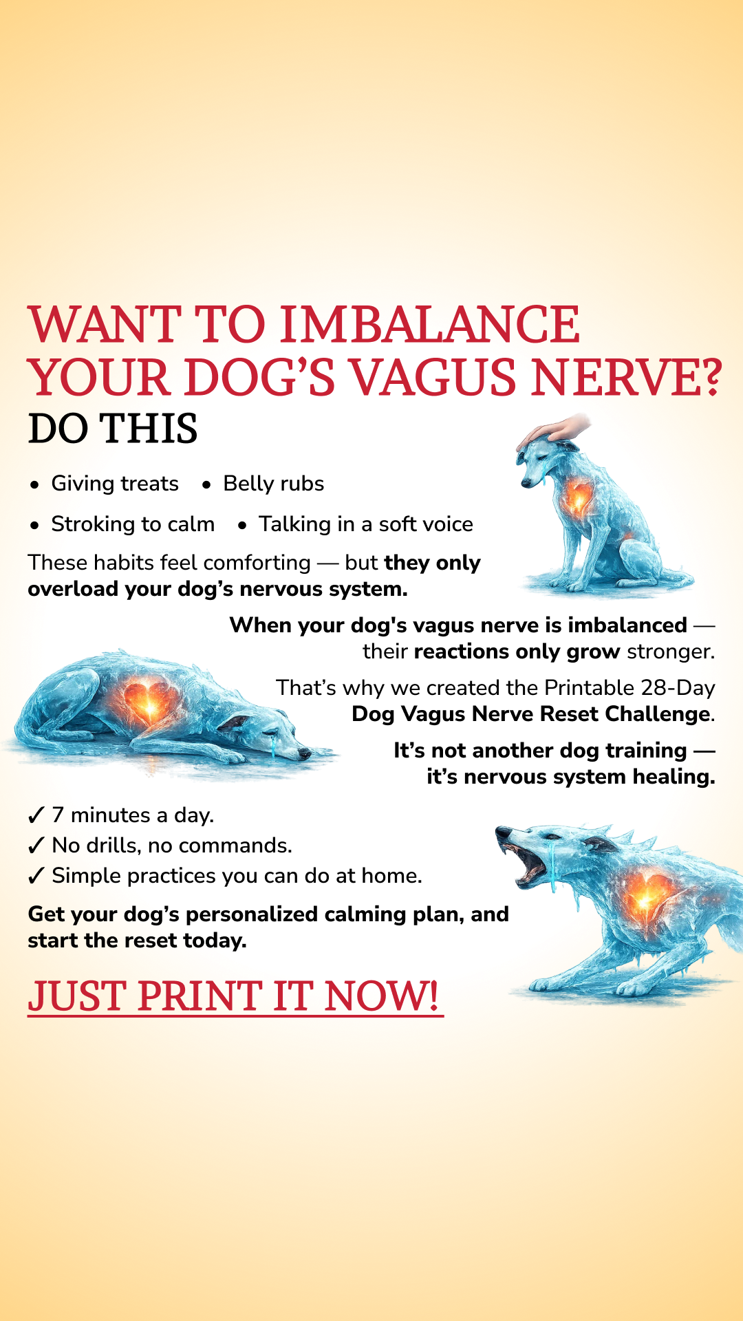 Dog's Vagus Nerve Reset Challenge Facebook ad