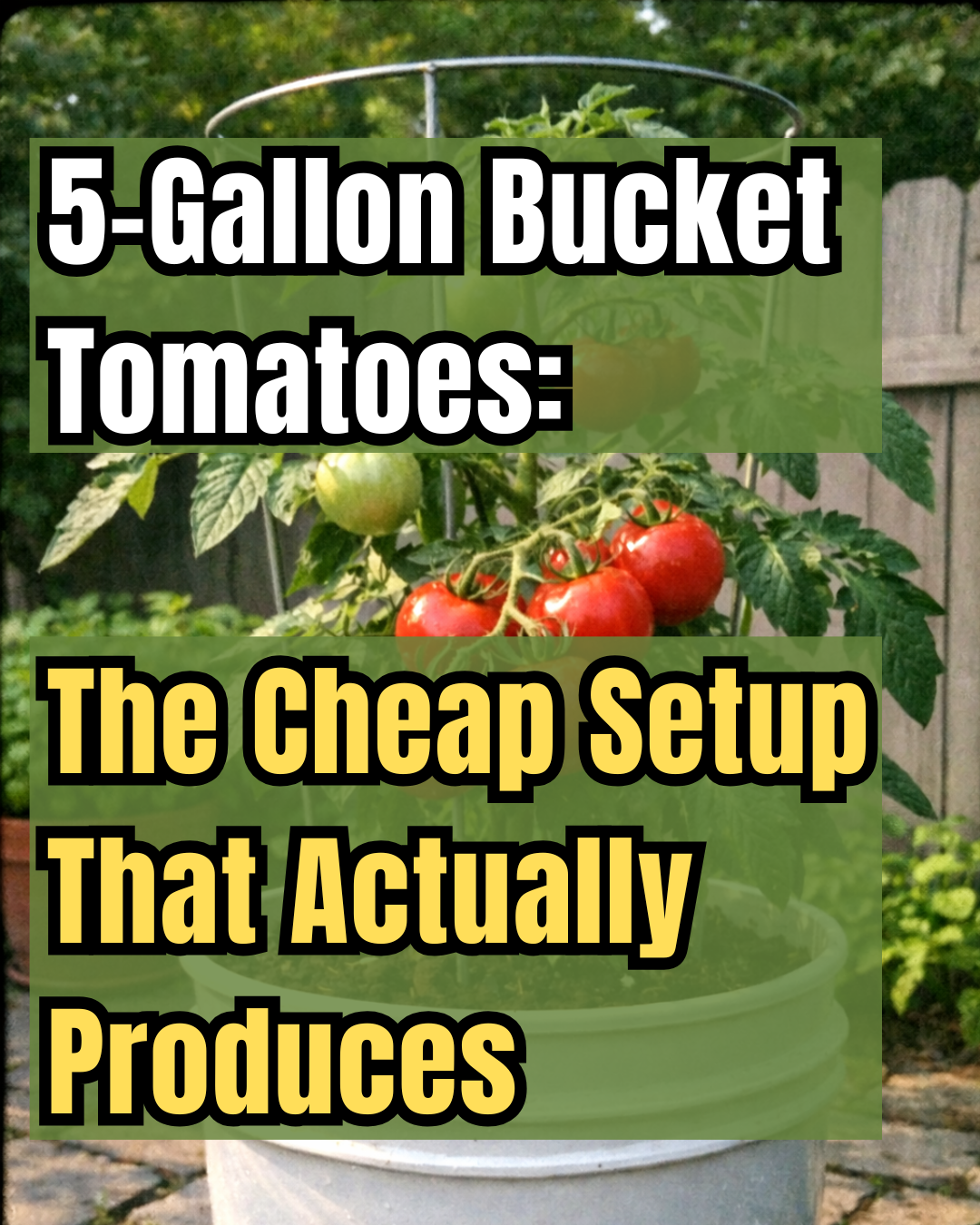 Gardening Wins Facebook ad
