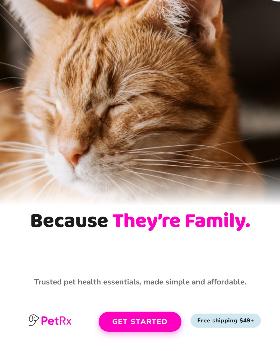 PetRx.com Facebook ad