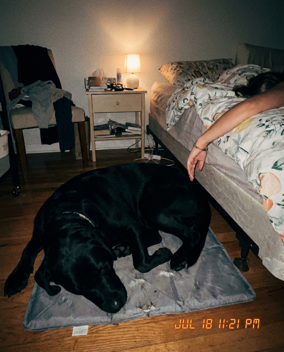 Pet Health Insiders Facebook ad