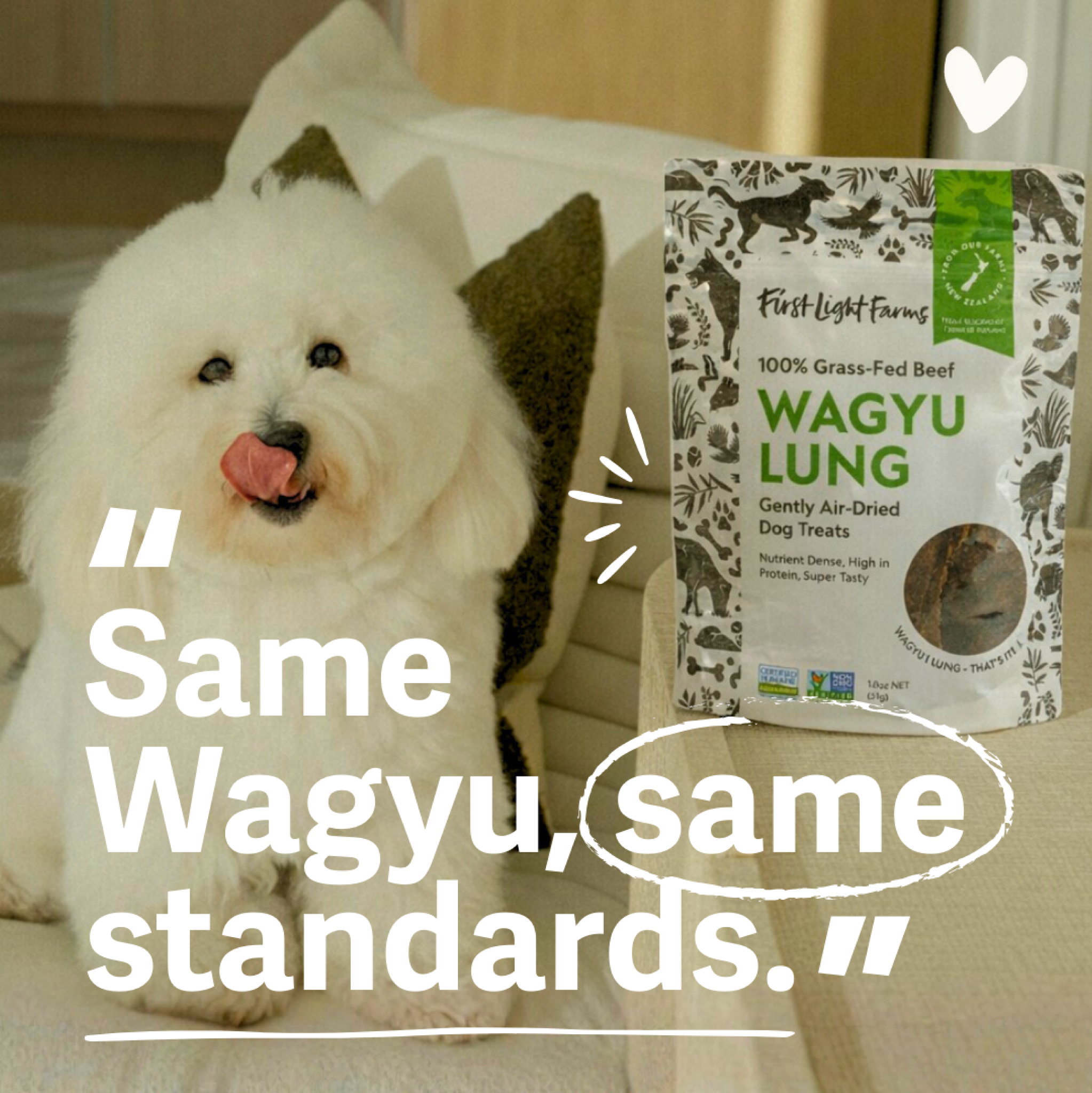 First Light Farms Dogs Facebook ad