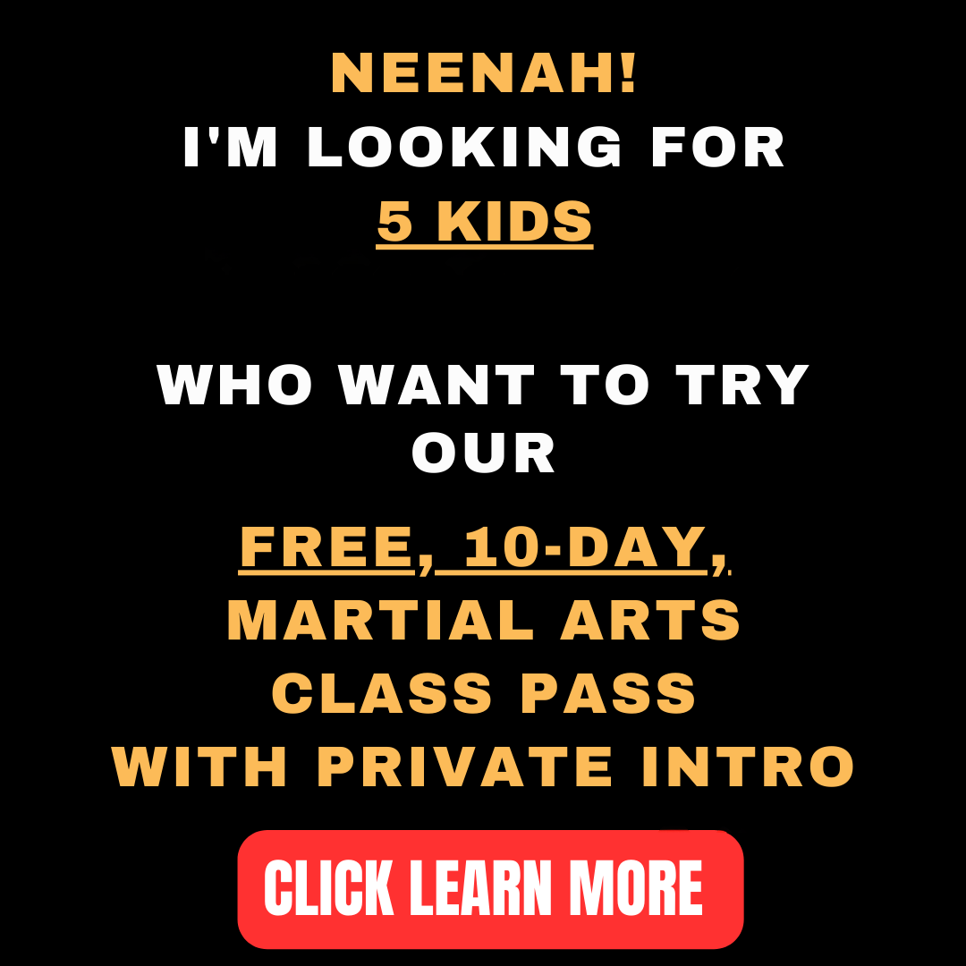 Fortitude Krav Maga Facebook ad: Want a FREE 10-Day, Kids Martial Arts Class Pass With A…