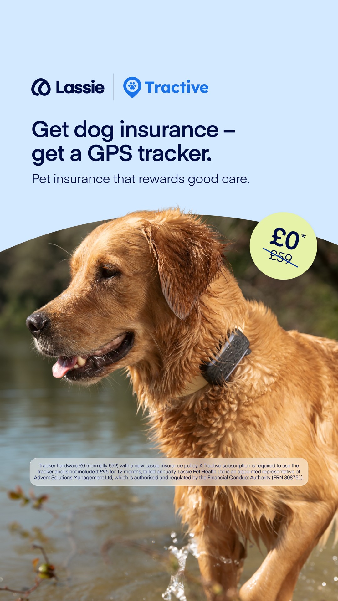 Lassie UK Facebook ad