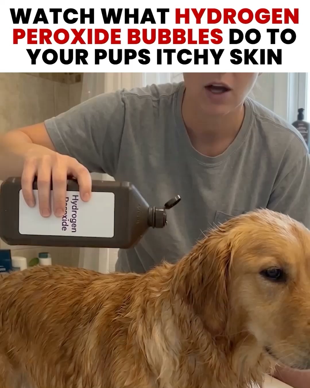 Dr Jesse Pets Facebook ad: Is Your Dog's Non-Stop Scratching a Sign of a Bigger…