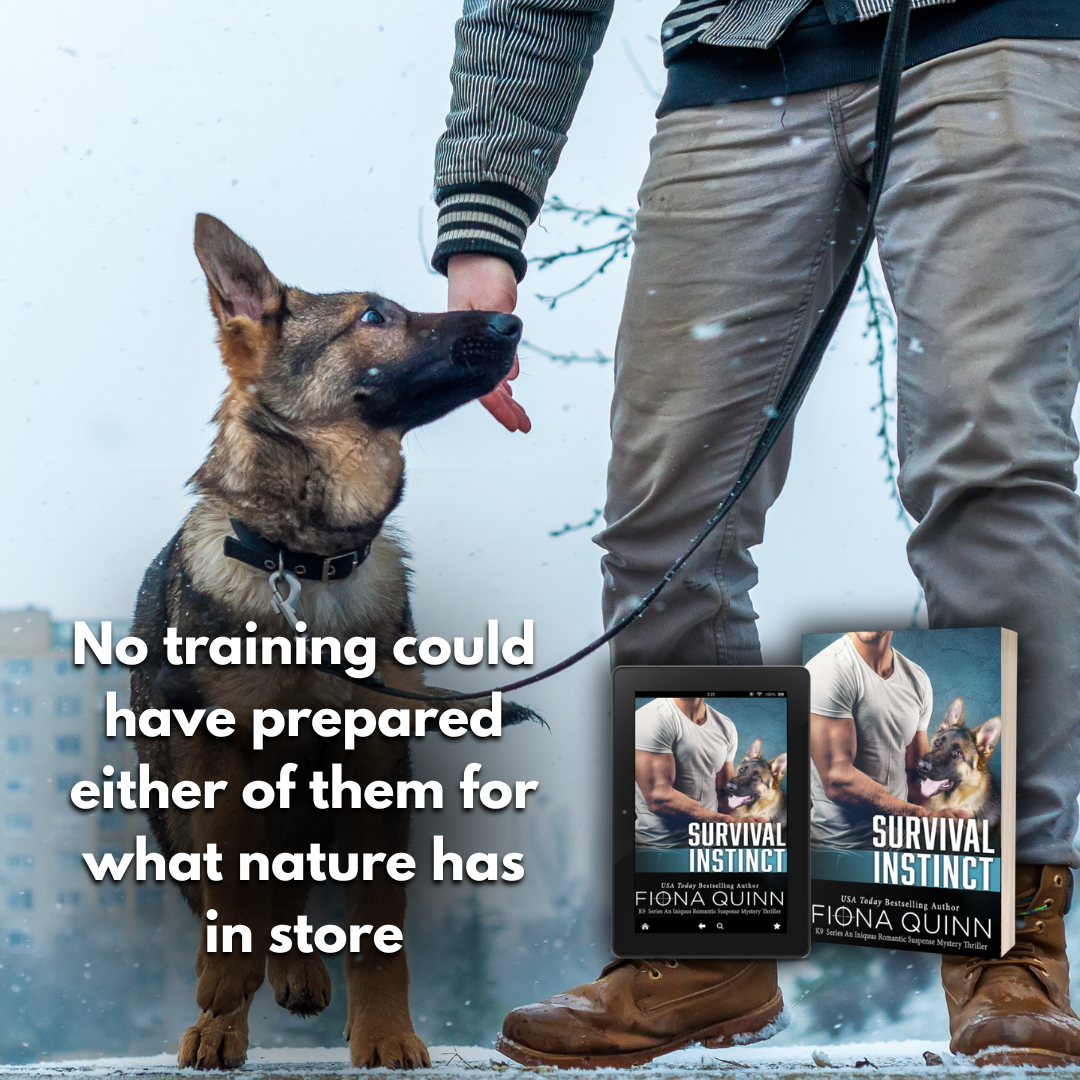 Action Adventure Romance: K9s to the Rescue Facebook ad