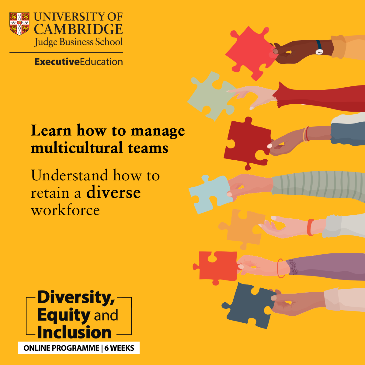 Cambridge Judge Business School - Diversity, Equity and Inclusion Facebook ad: Study Inclusive Performance Management