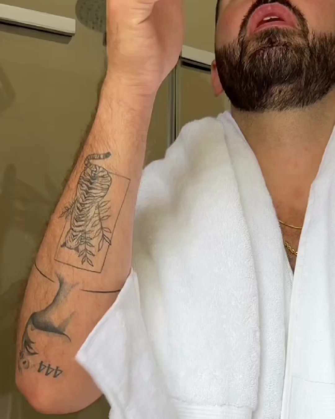 Alpecin Facebook ad: Attack Your Grey Hair!