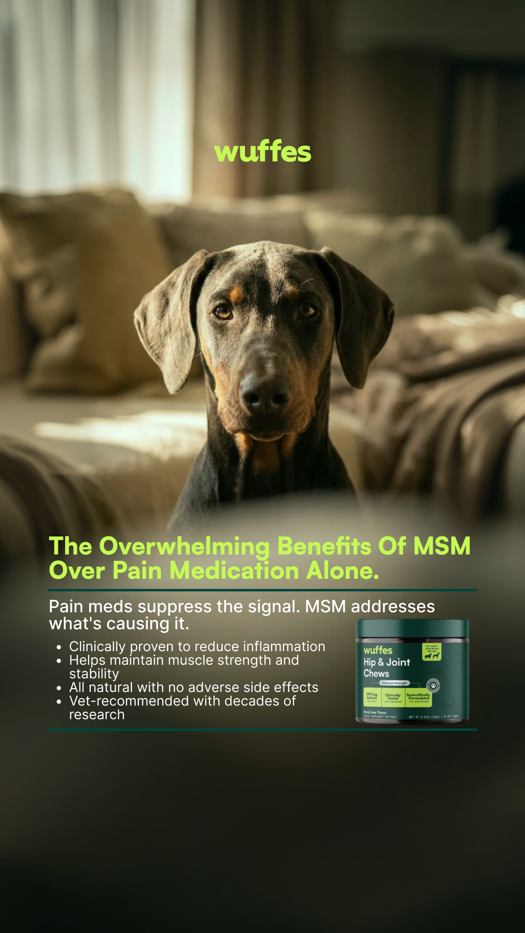 Everyday Pet Health Facebook ad