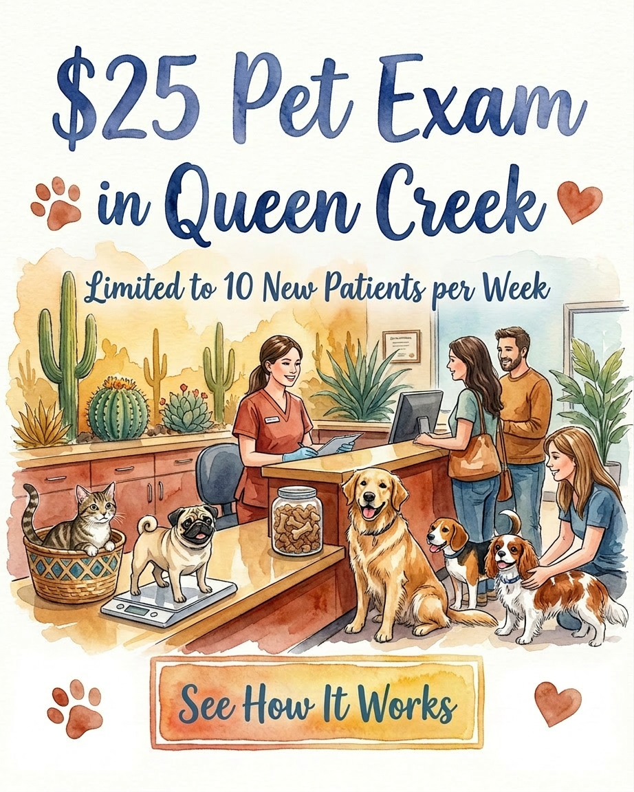Revel Vet Facebook ad
