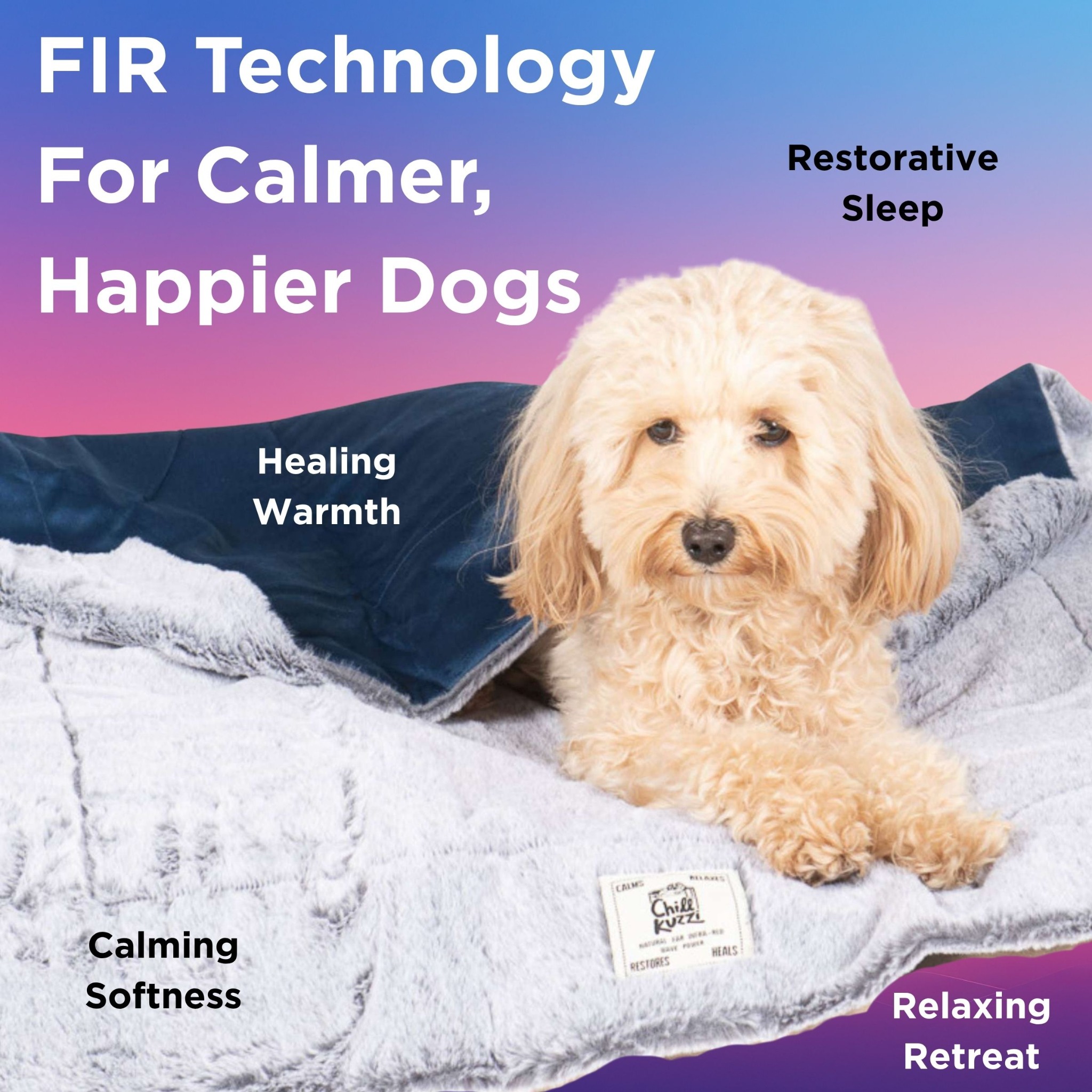 D.GS Pet Products Facebook ad
