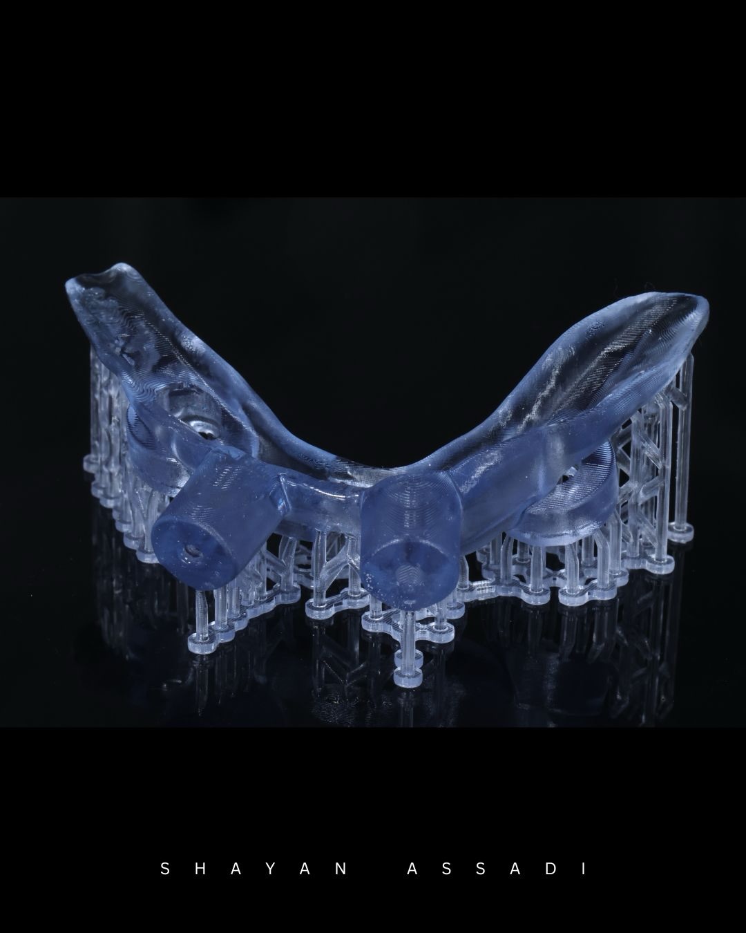 Dr. Shayan Assadi Facebook ad: Digital Dentistry.