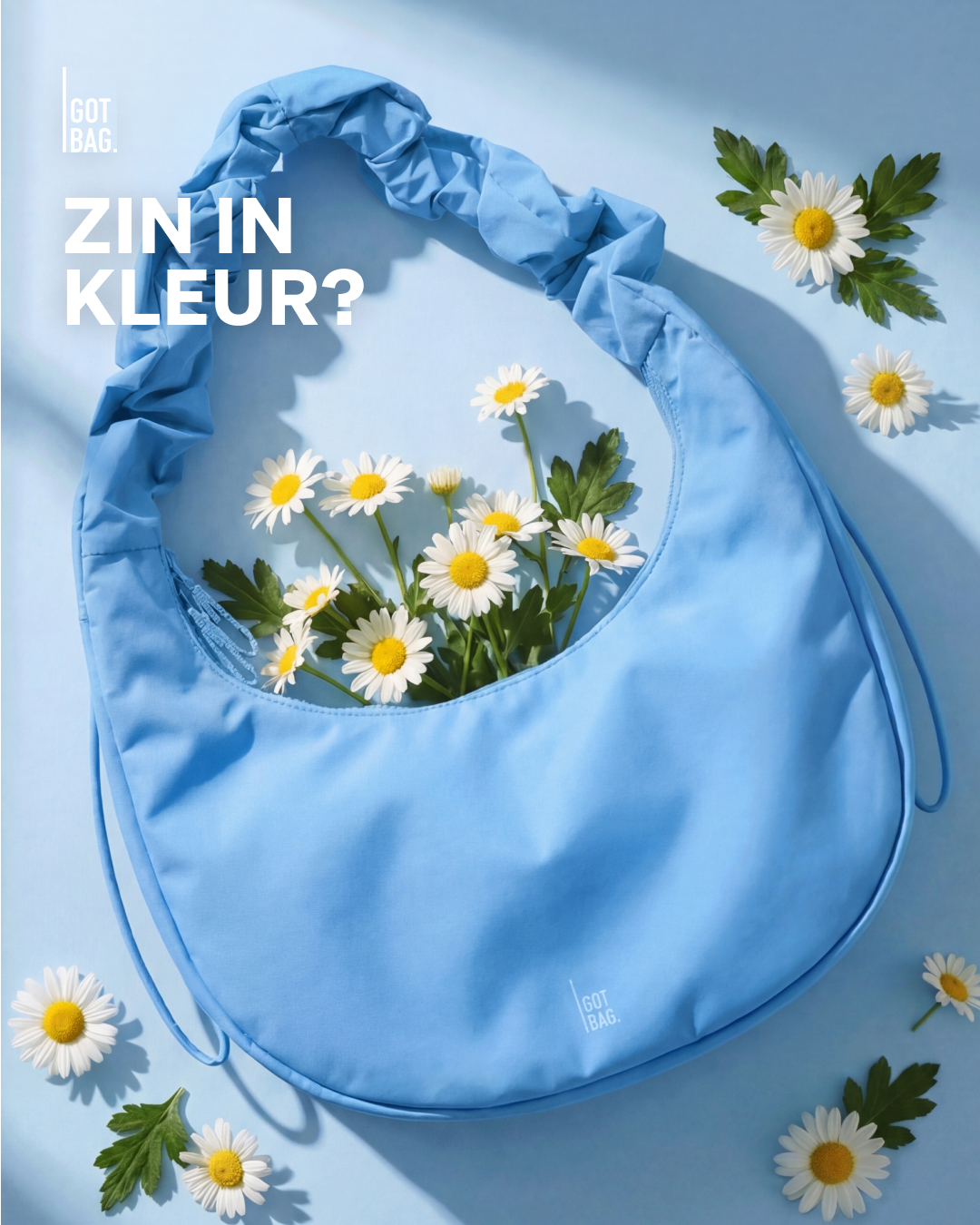 GOT BAG Facebook ad