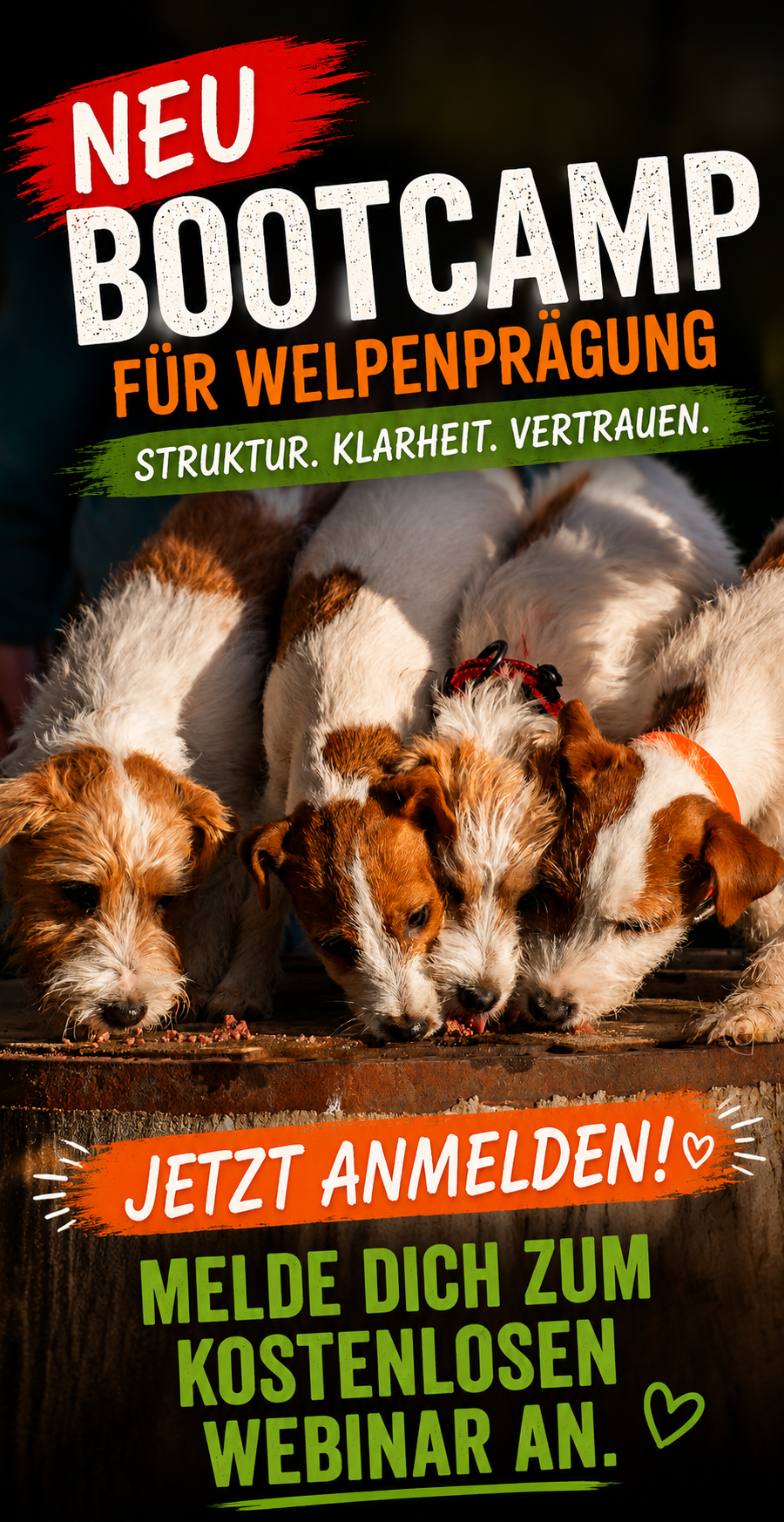 Petra Klemba - Be Smart  Facebook ad