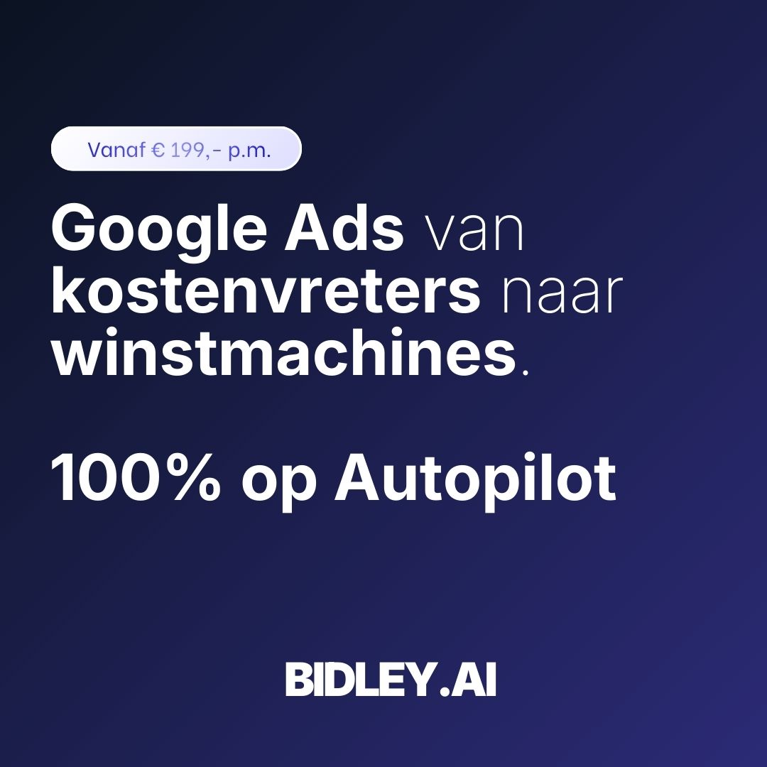 Bidley.ai - 24/7 AI Google Ads optimalisatie Facebook ad