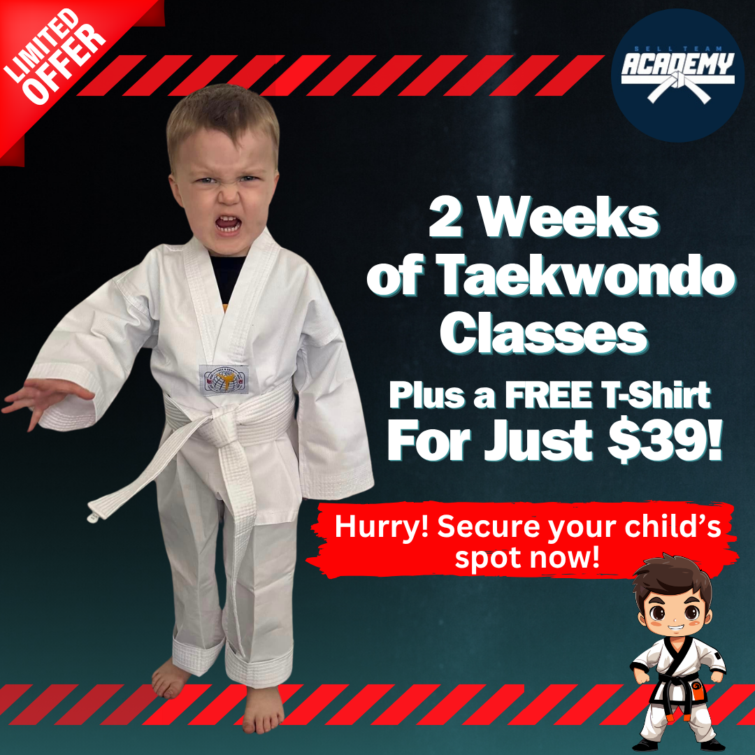 Sell Team Academy of Taekwondo Facebook ad