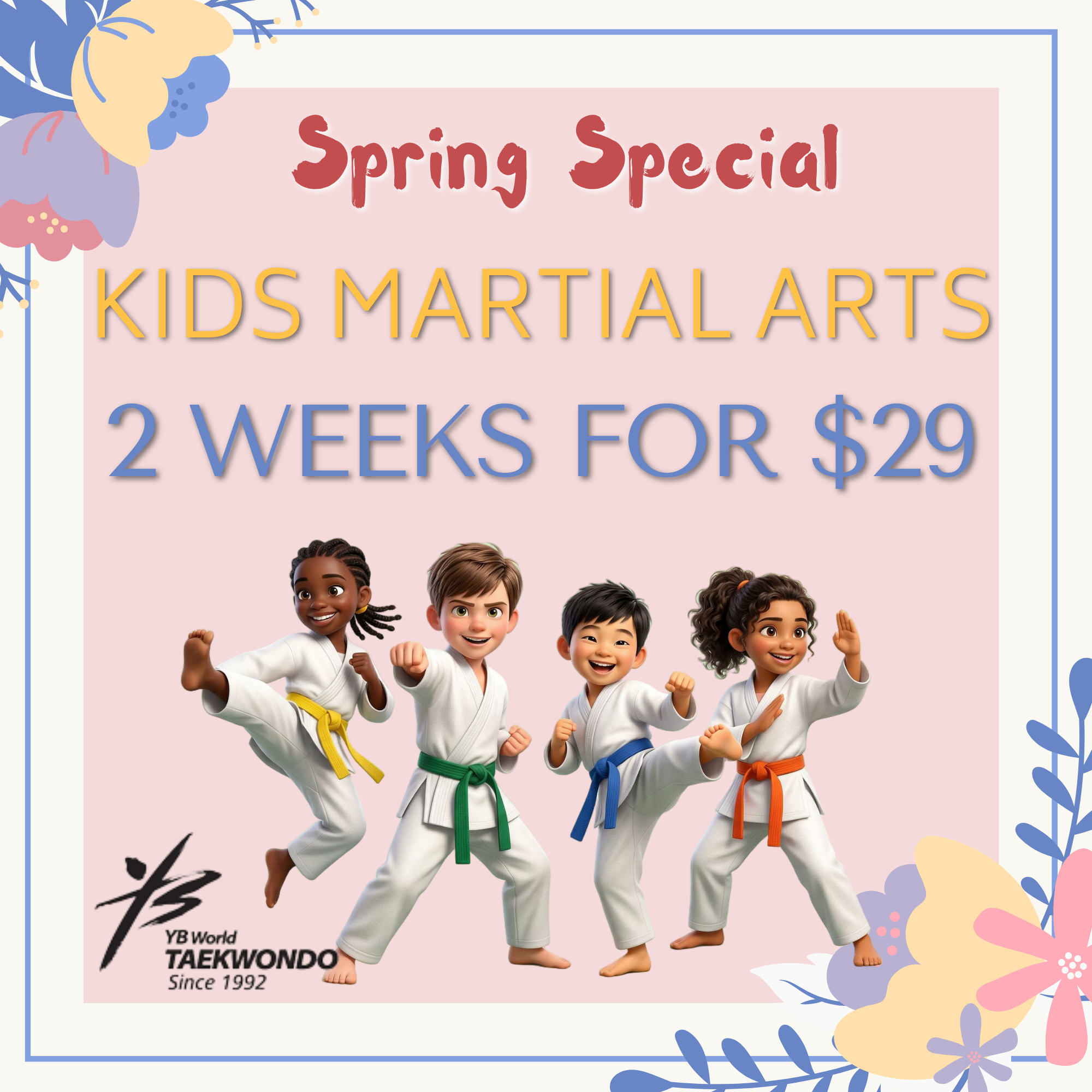 YB World Taekwondo Academy Facebook ad
