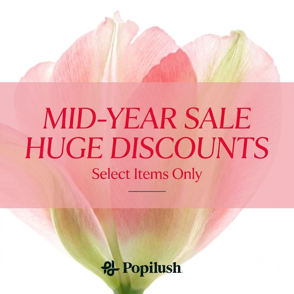 Popilush Facebook ad