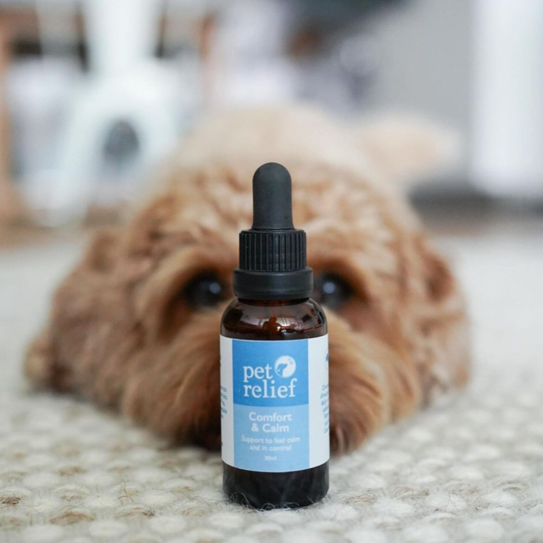 Pet Relief Australia Facebook ad