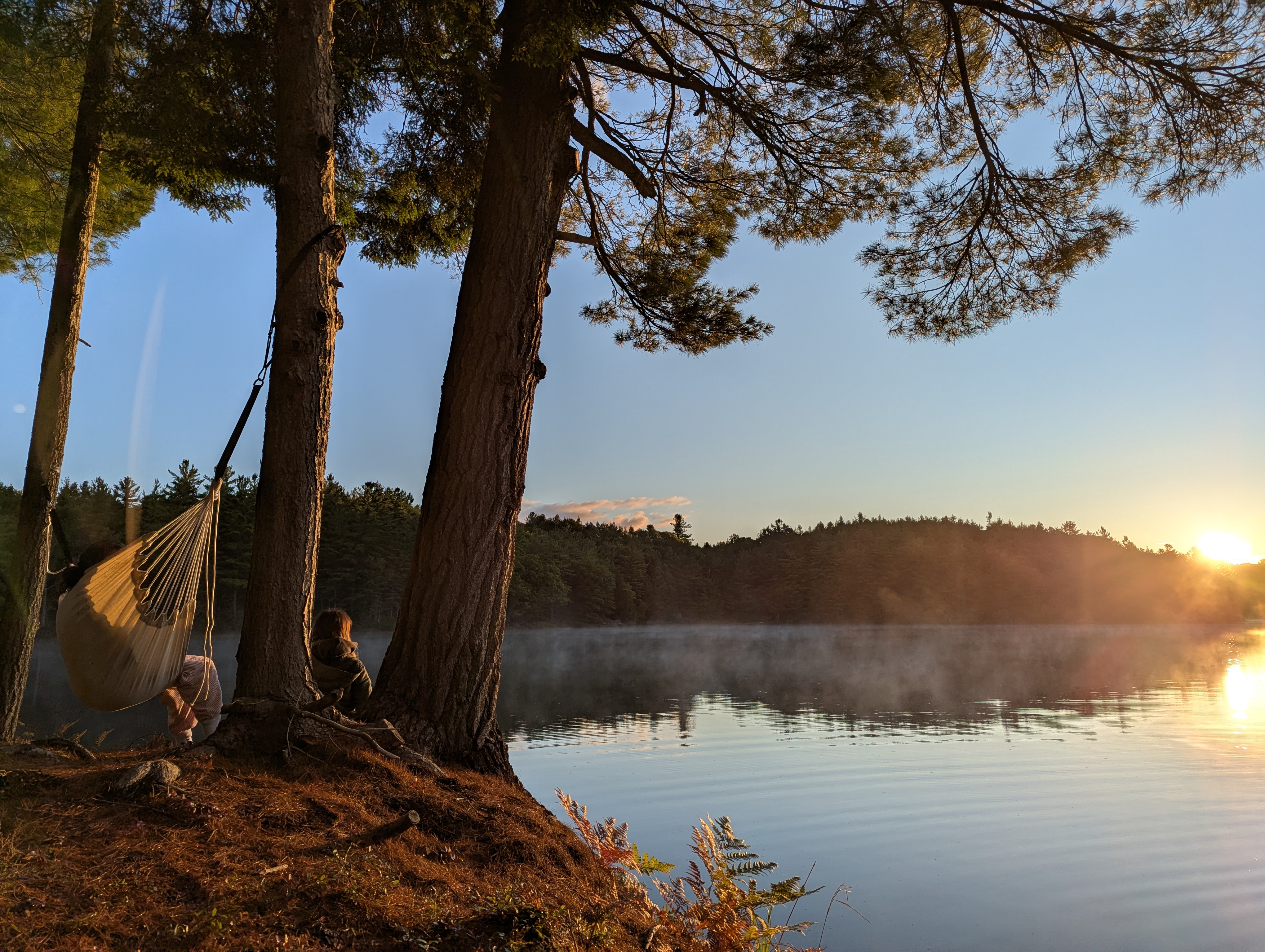 ALIGN Nature & Wellness Retreats Facebook ad: Guiding you back to Nature to slow down…