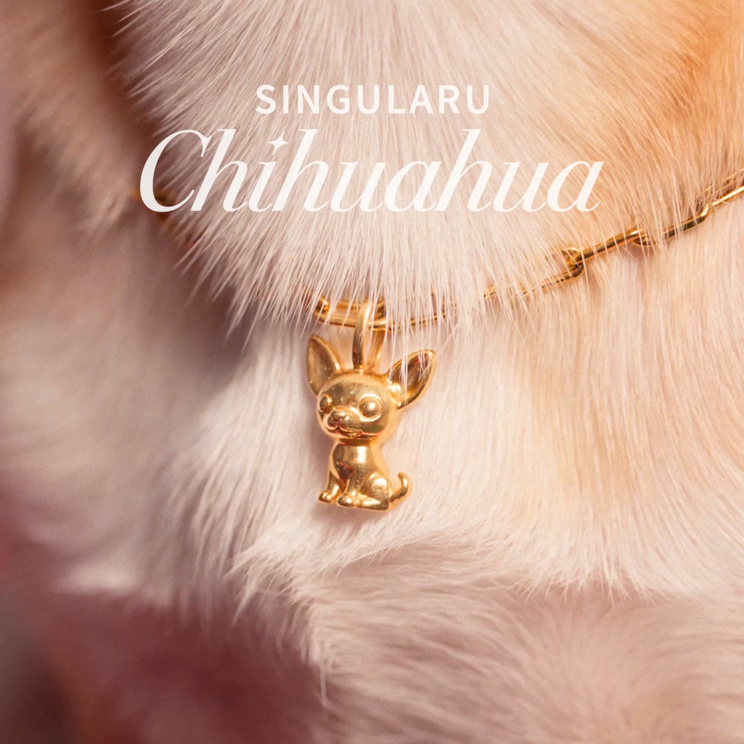 Singularu Jewels Facebook ad: Tu mejor amigo ahora en tu collar