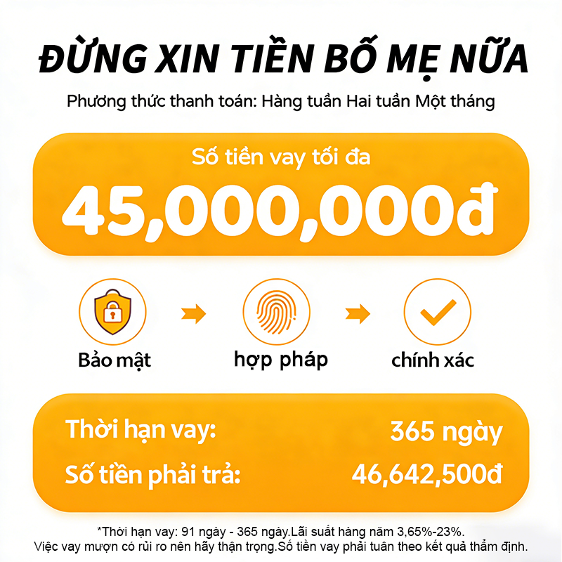 PT Vay Nhanh A Facebook ad: PT Vay Nhanh