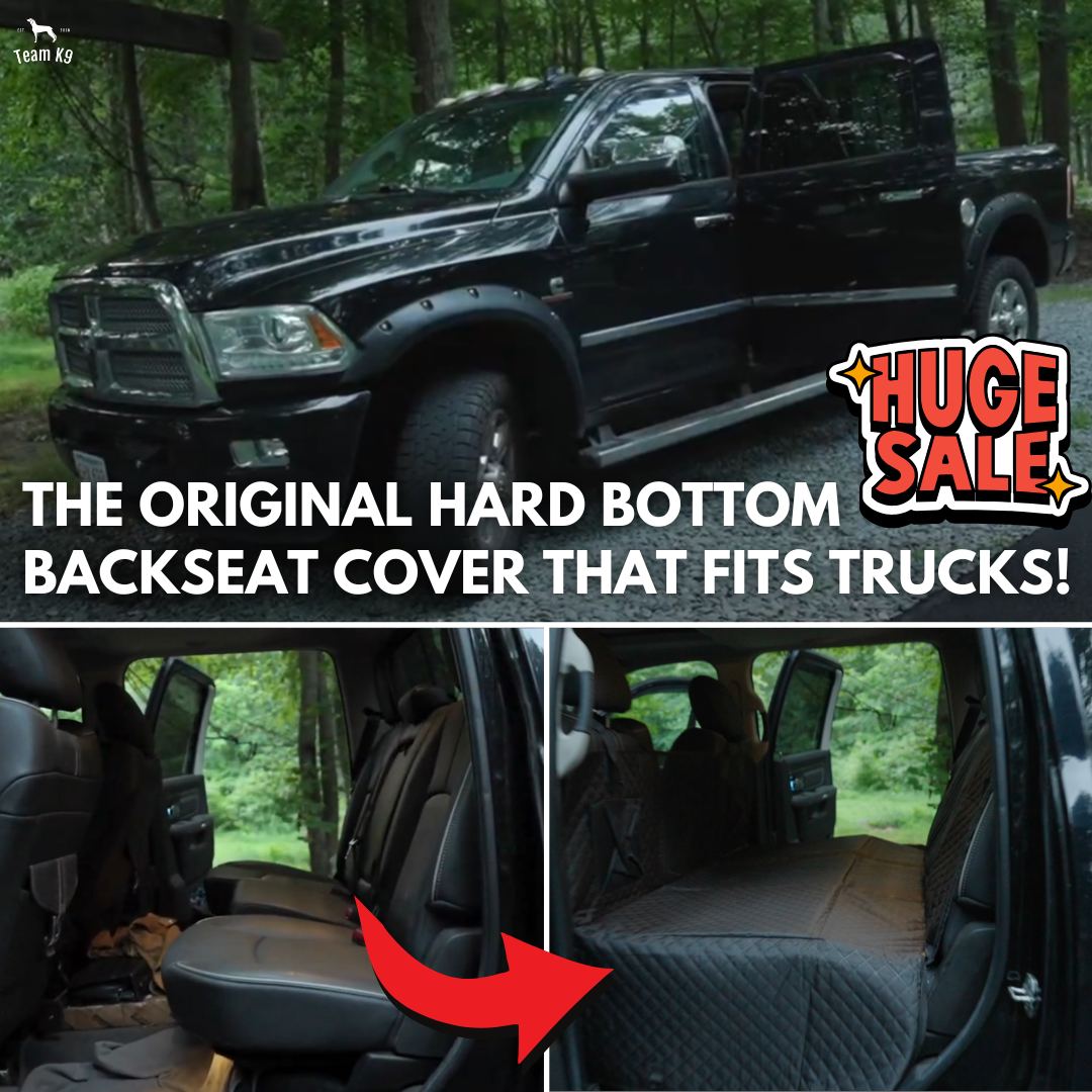Team K9 Facebook ad