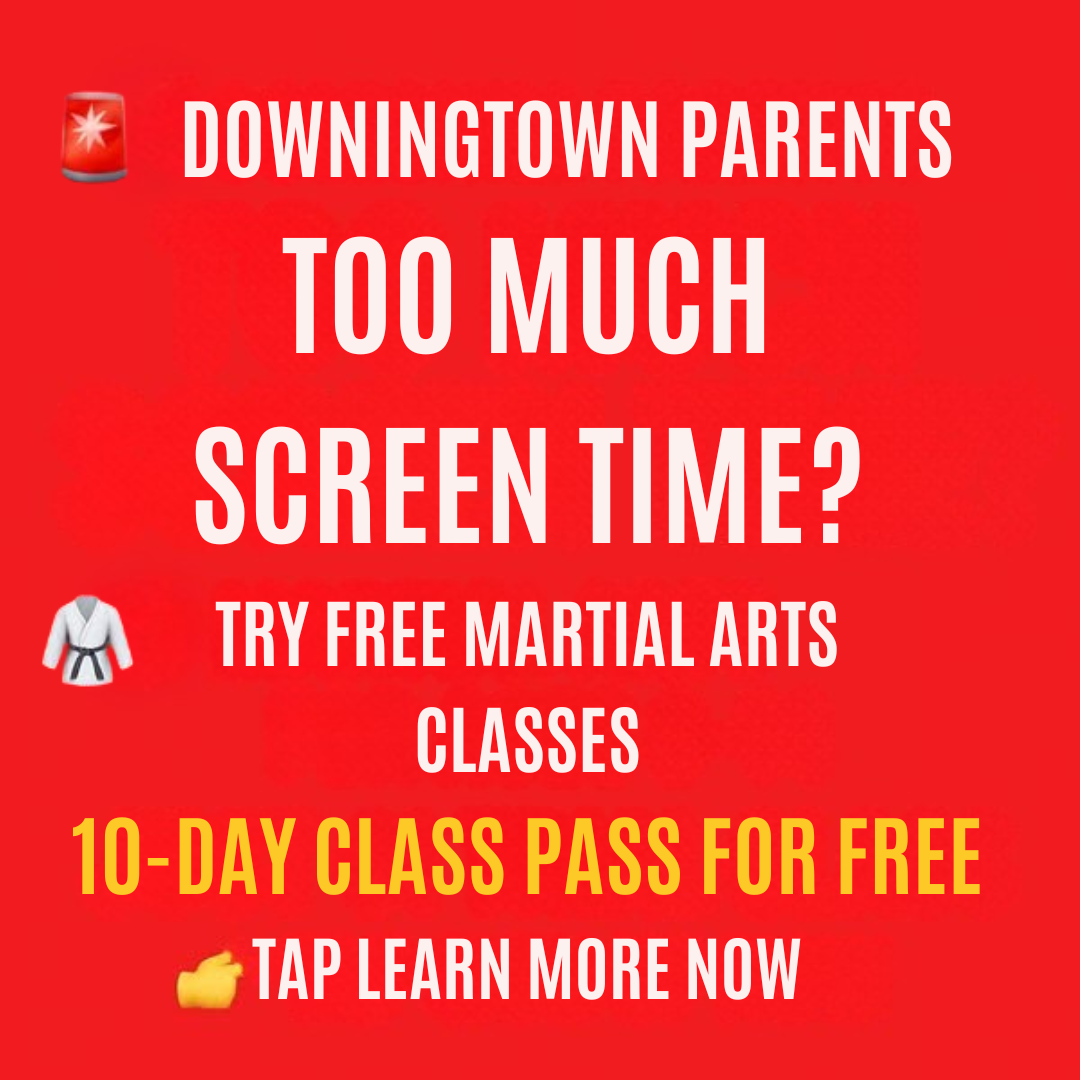 Lupo Taekwondo Facebook ad