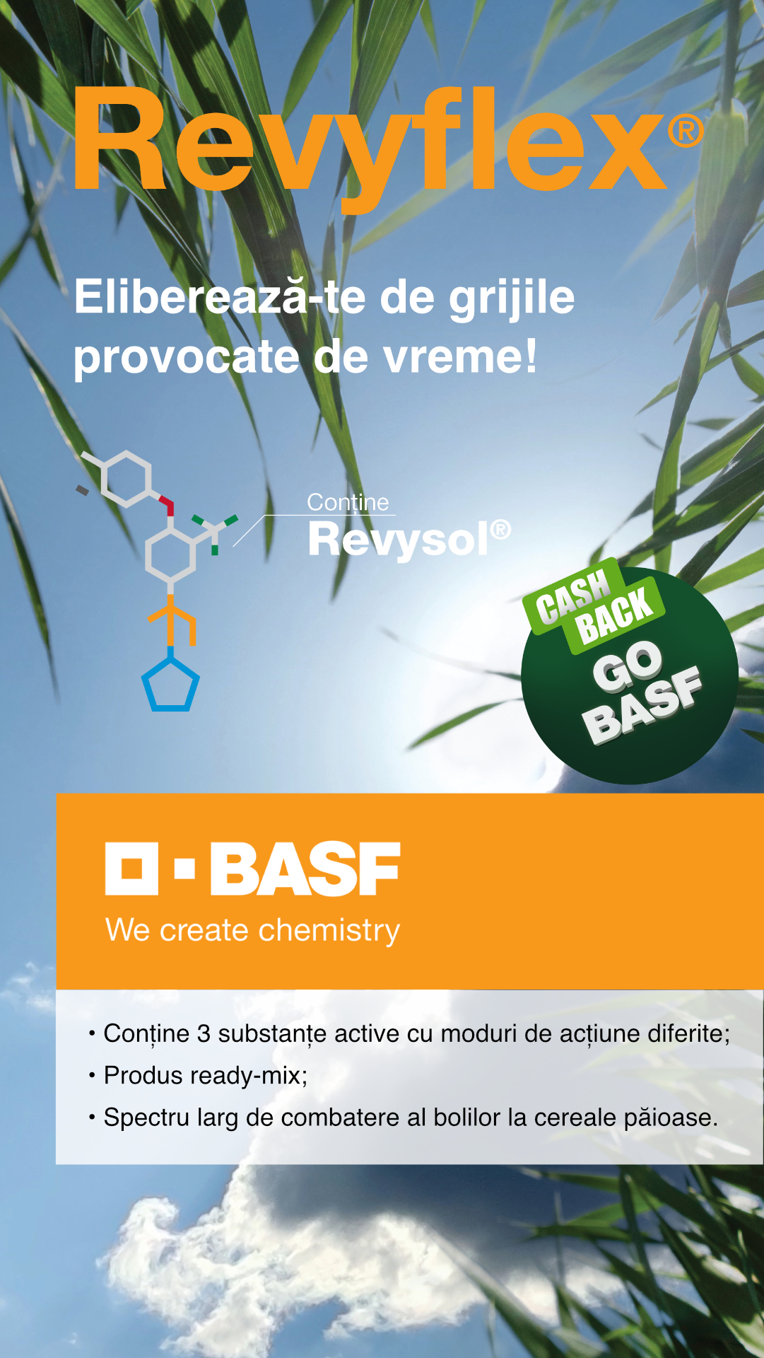 BASF Agricultural Solutions Facebook ad