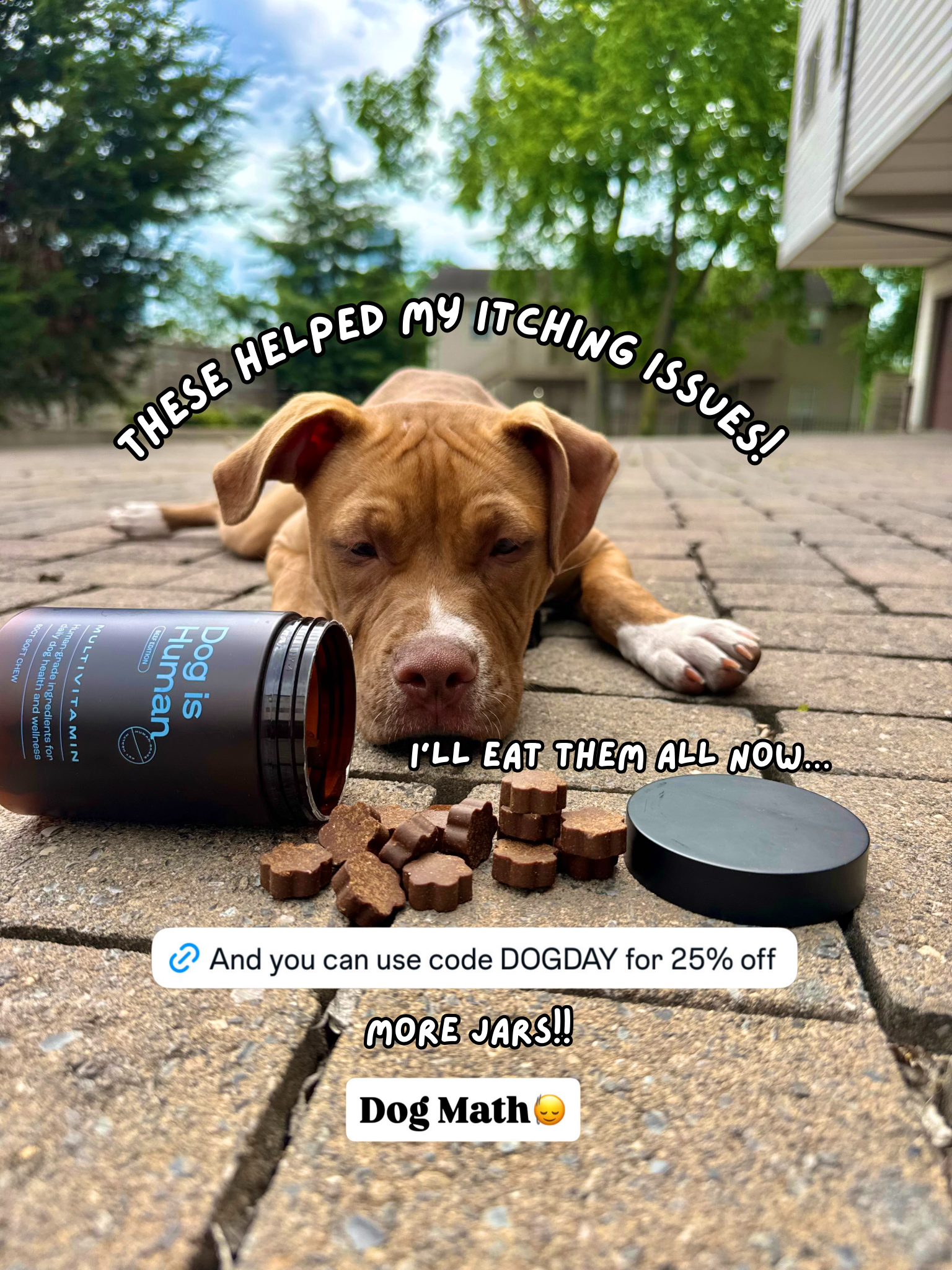 Dog is Human Facebook ad