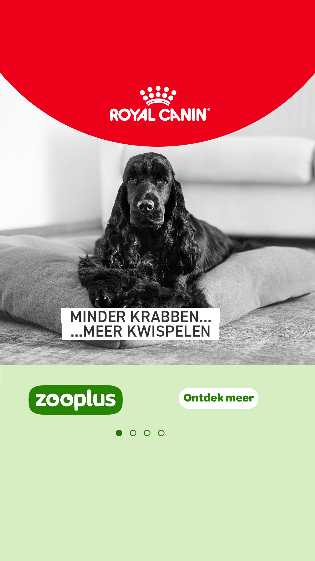 zooplus Facebook ad