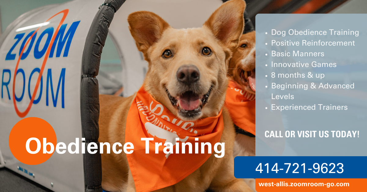 Zoom Room Dog Training Facebook ad