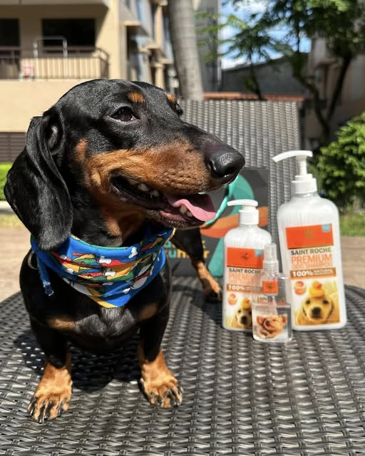 Saint Roche Premium Dog Shampoo Facebook ad