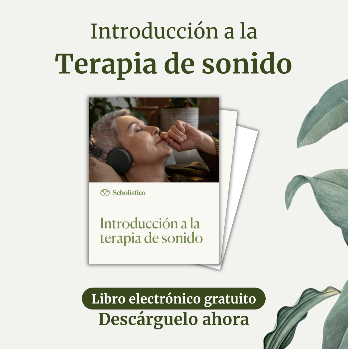 Scholistico Español Facebook ad