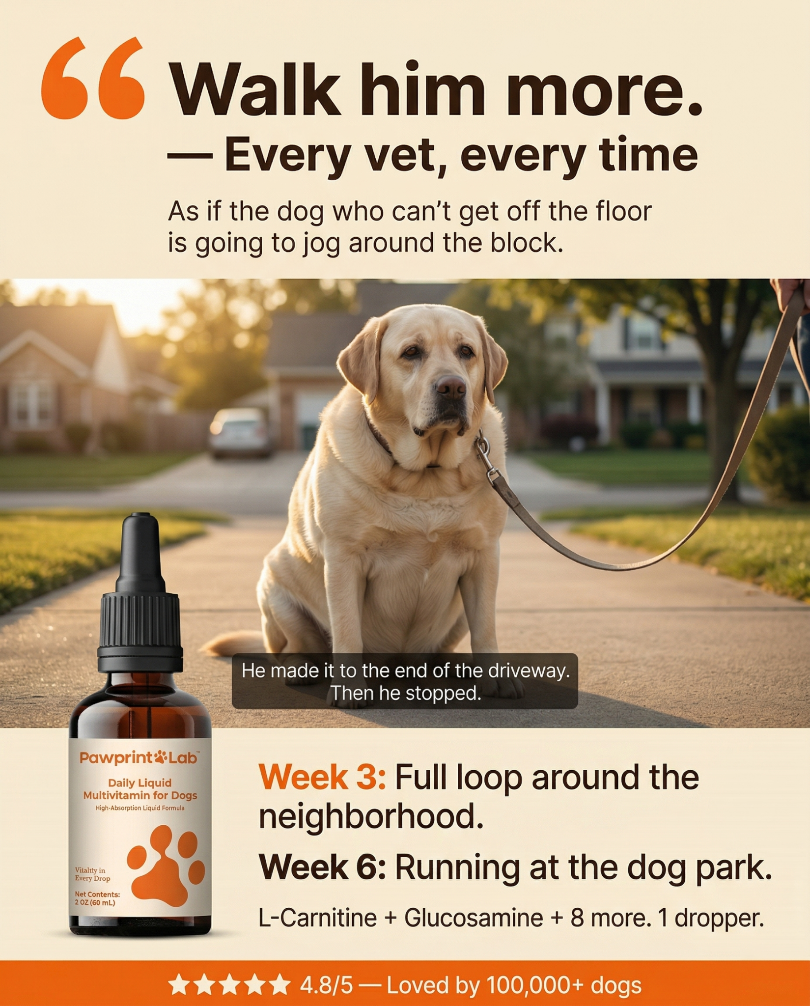 Vet-Approved Pet Products Facebook ad